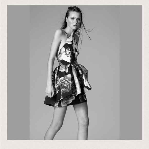 Cameo the Label Alone Tonight Peplum Dress - Picture 14 of 14